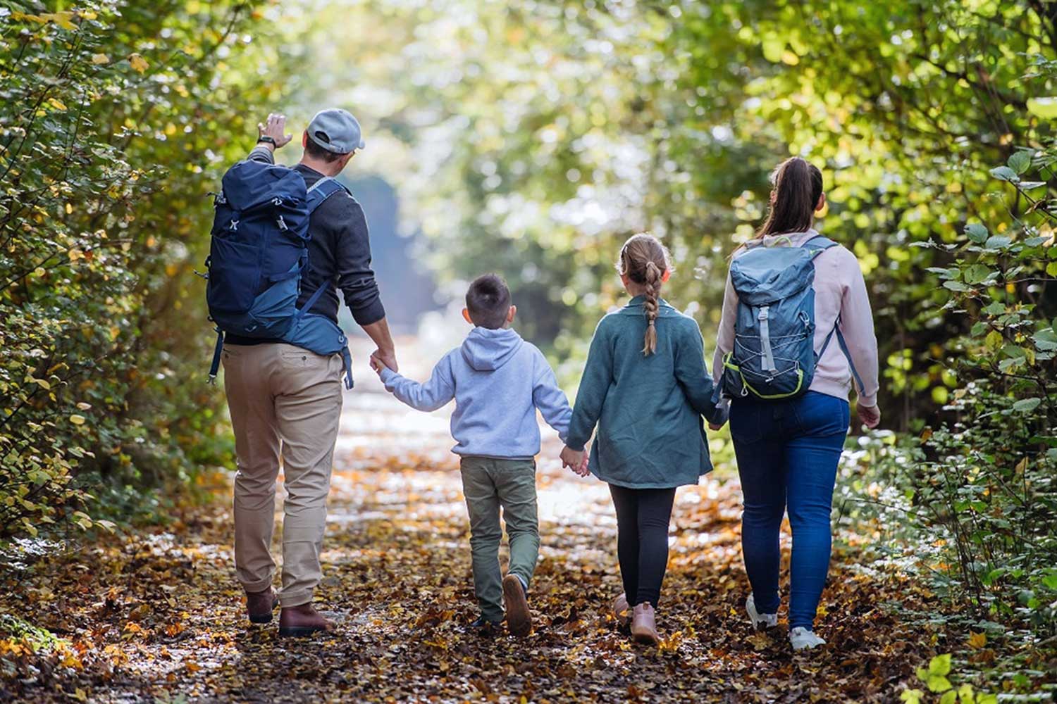 Family nature walk at Tipai – best family safari resort near Tipeshwar Yavatmal India