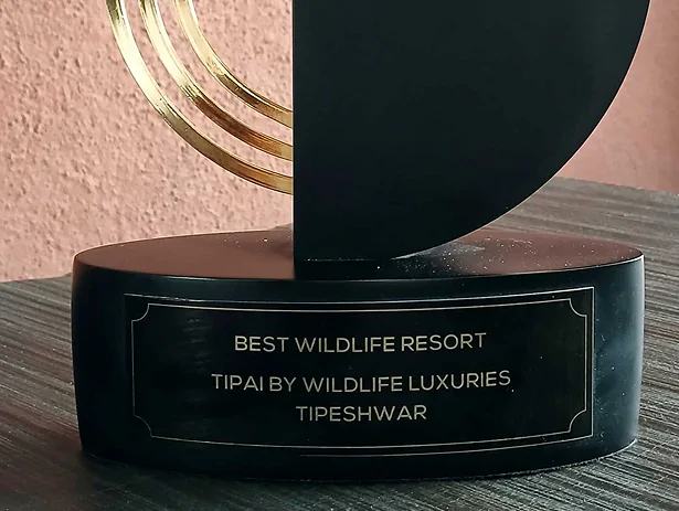 the safari award