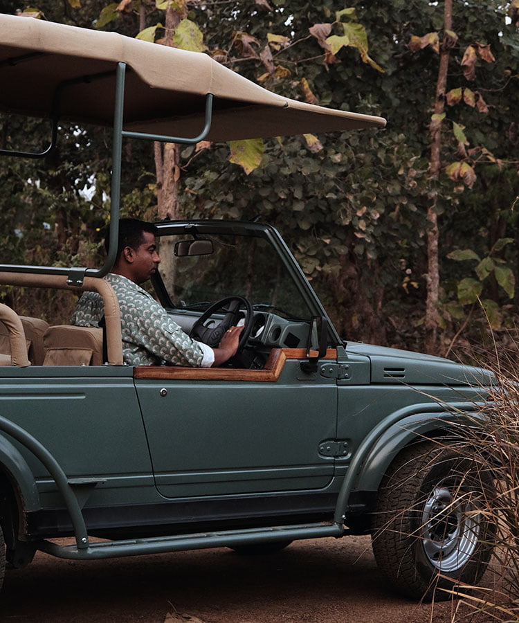 Tipai safari guide