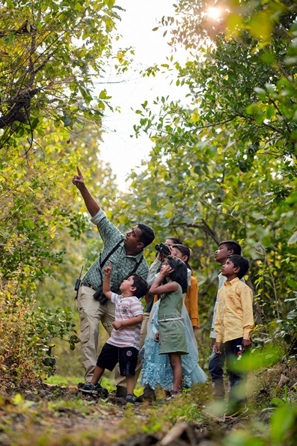 Bird watching at Tipai