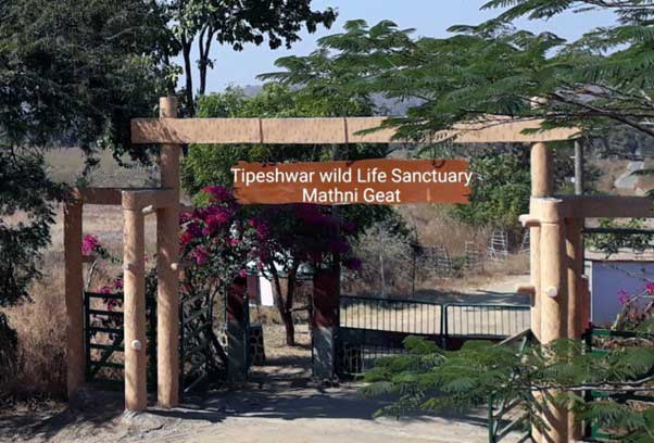 tipeshwar wildlife sanctuary mathni geat