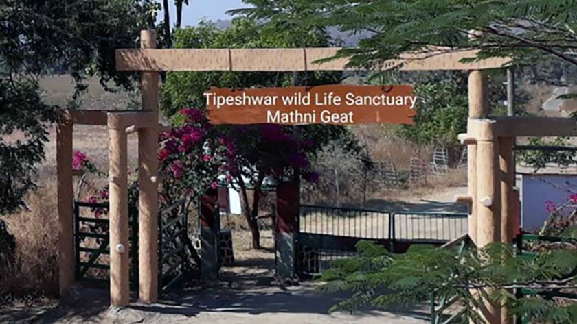 Tipeshwar, wildlife's hidden gem