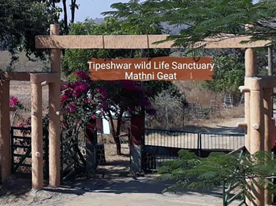 Tipeshwar, wildlife's hidden gem
