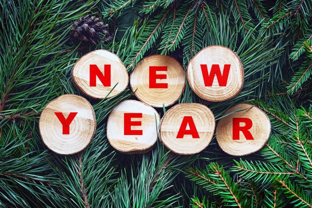 celebrate new year at the wildlife luxuries resort in tipeshwar