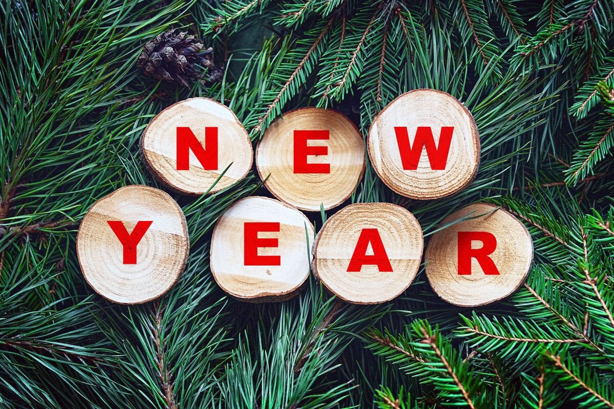 celebrate new year at the wildlife luxuries resort in tipeshwar