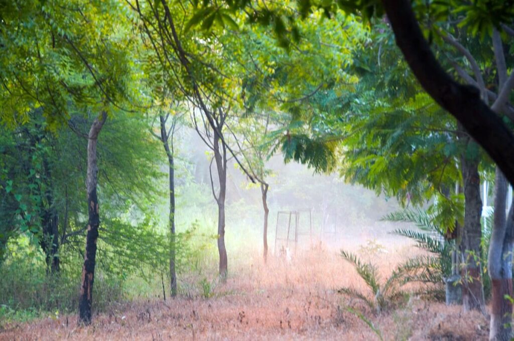 tried of lonavala? head to tipeshwar for a weekend gateway