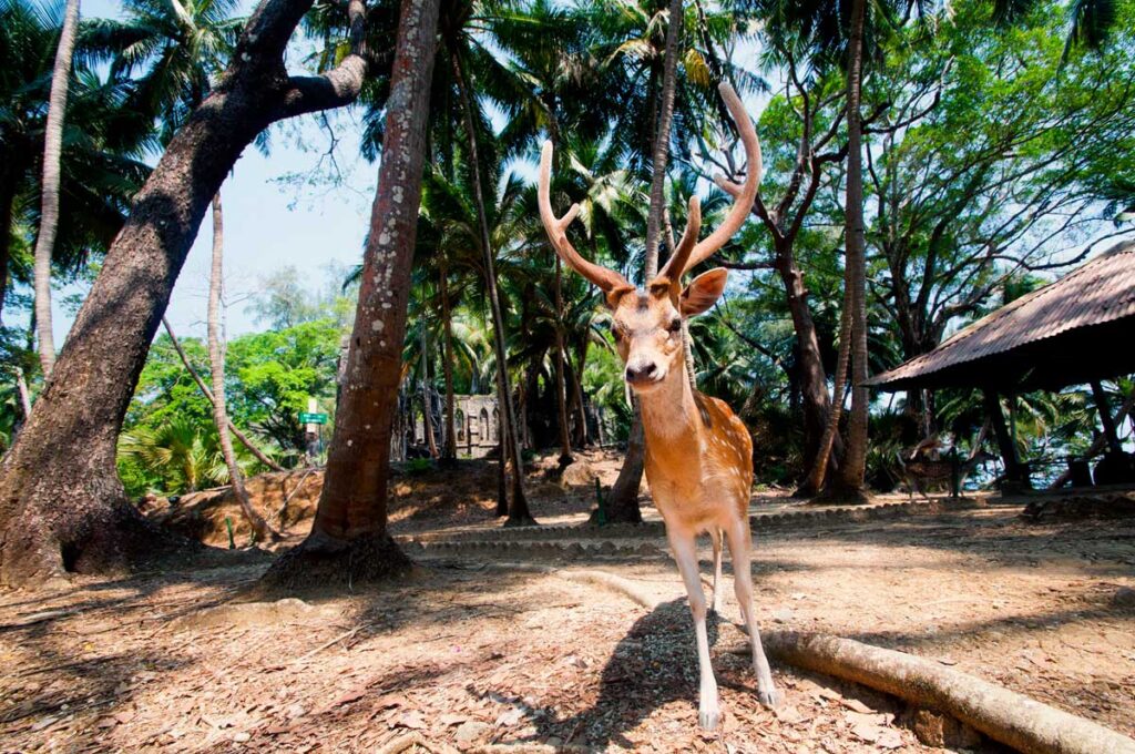 here's why tipeshwar wildlife sanctuary is calling you