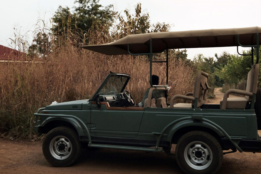 a perfect vacation at wildlife luxuries