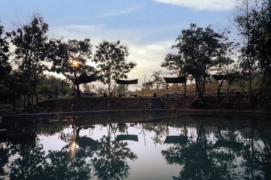 how luxury safari stays are transforming the way we experience wildlife