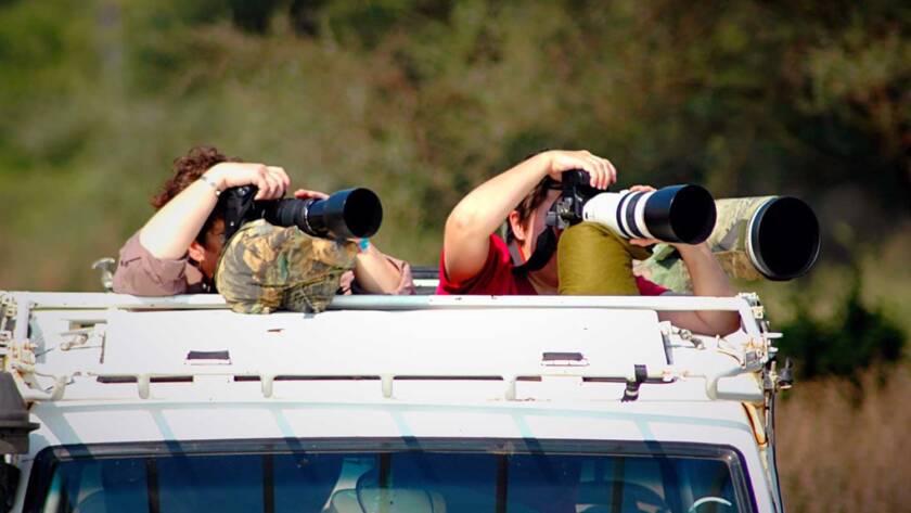 Wildlife tourism in India