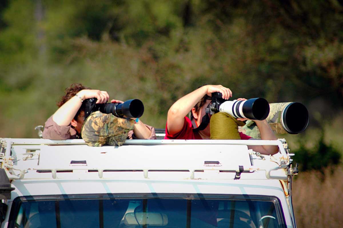 how wildlife tourism can be a game changer for india