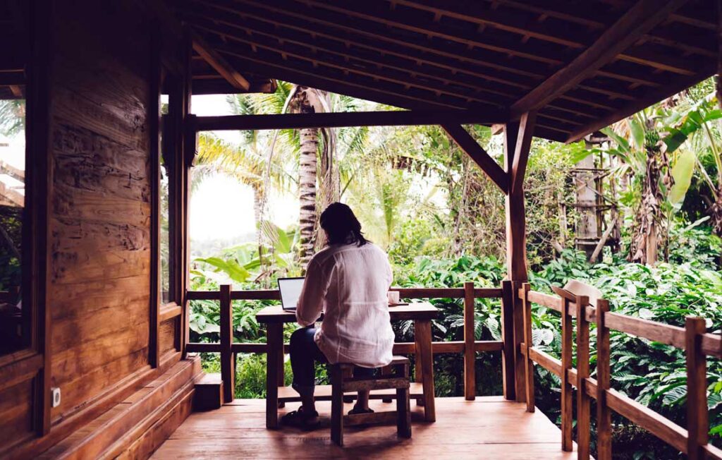 wildlife for workation