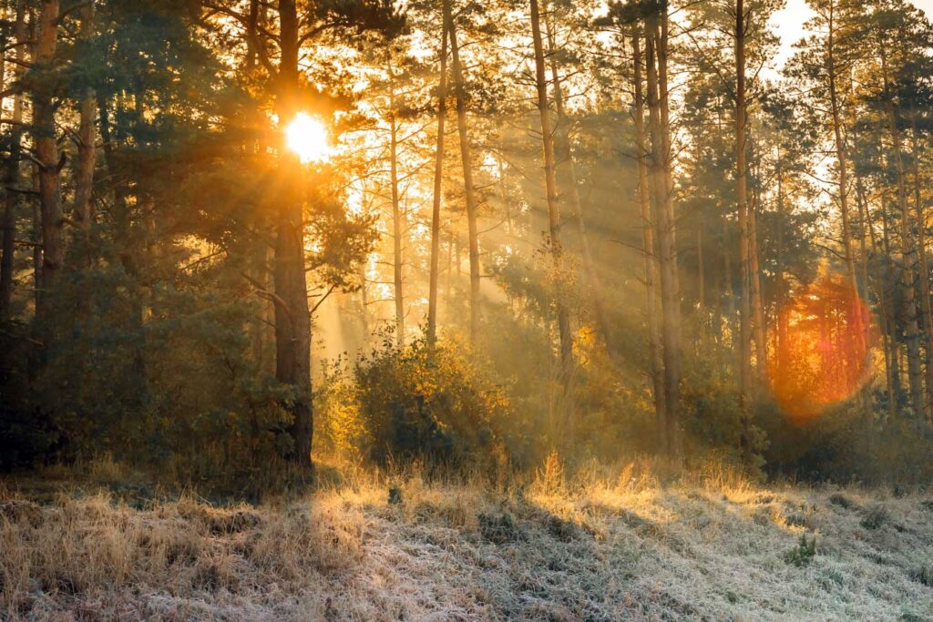 guide to Winter Morning Safari in Tipeshwar 2025-2026