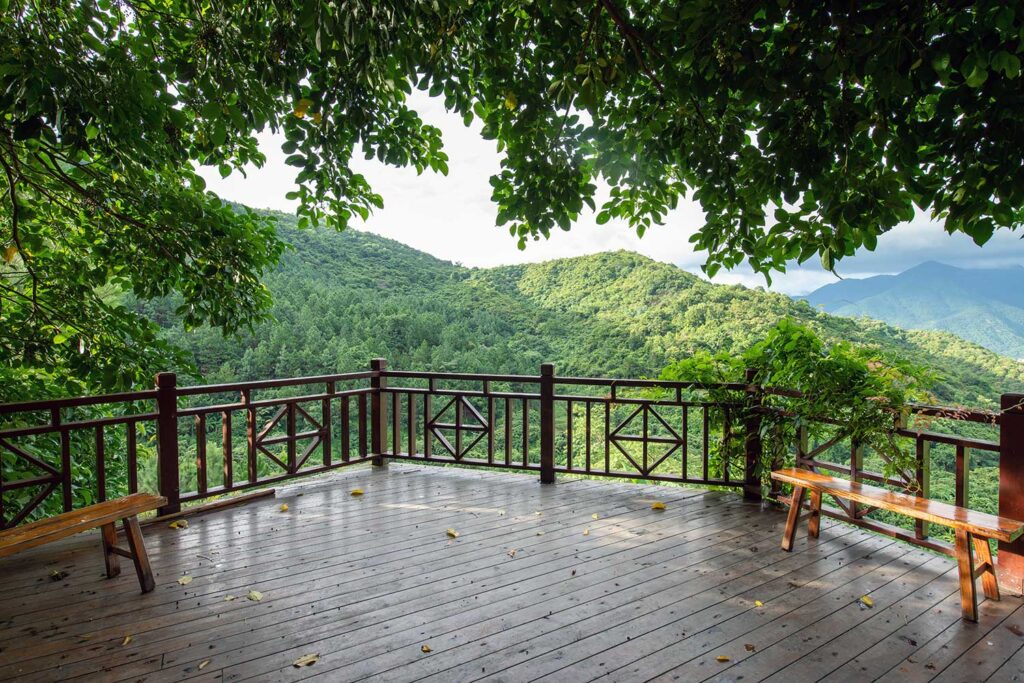 Best wildlife Safari & the Resort in western ghats