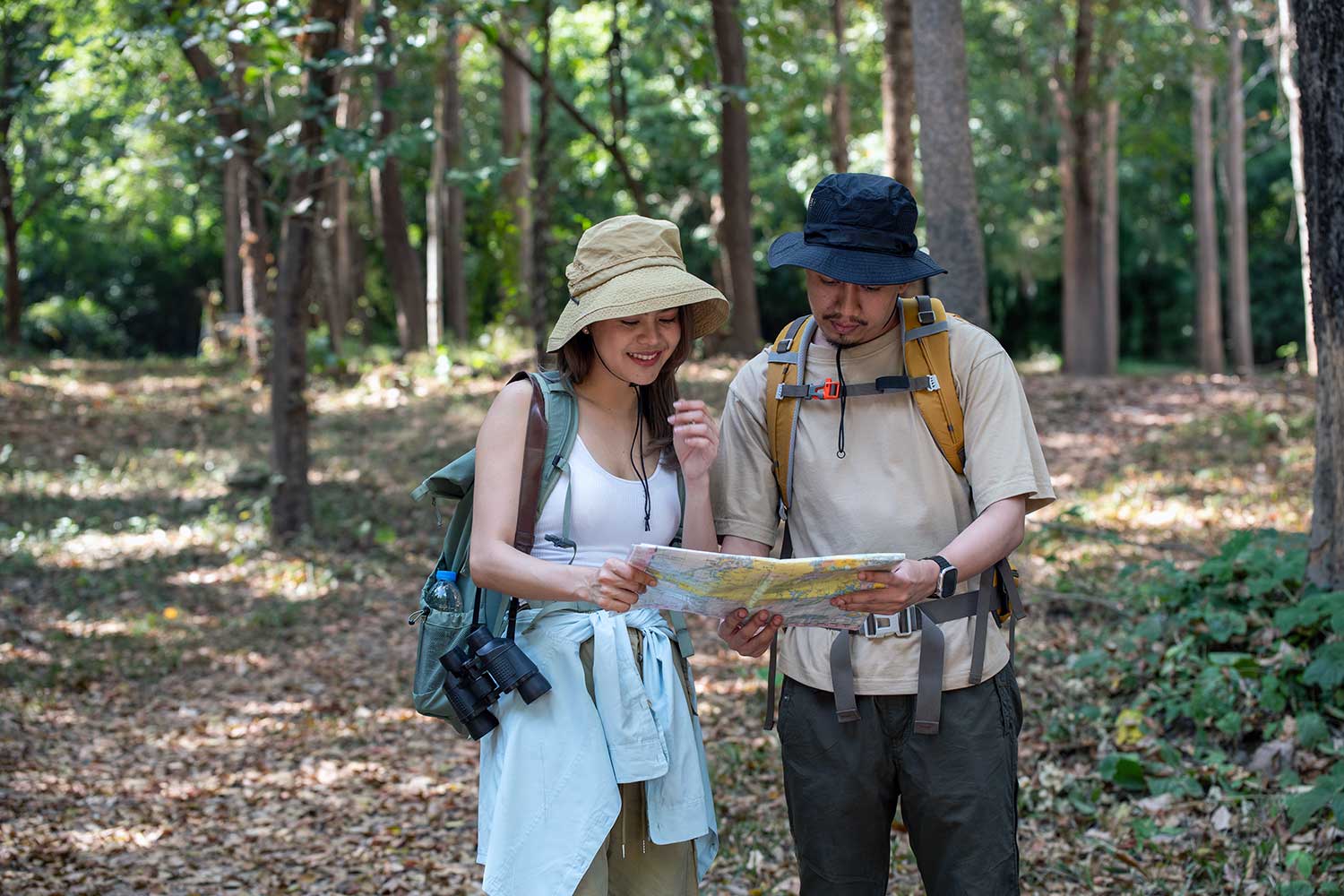 Why Wildlife Luxuries is Ideal for 2025 Safari Plans