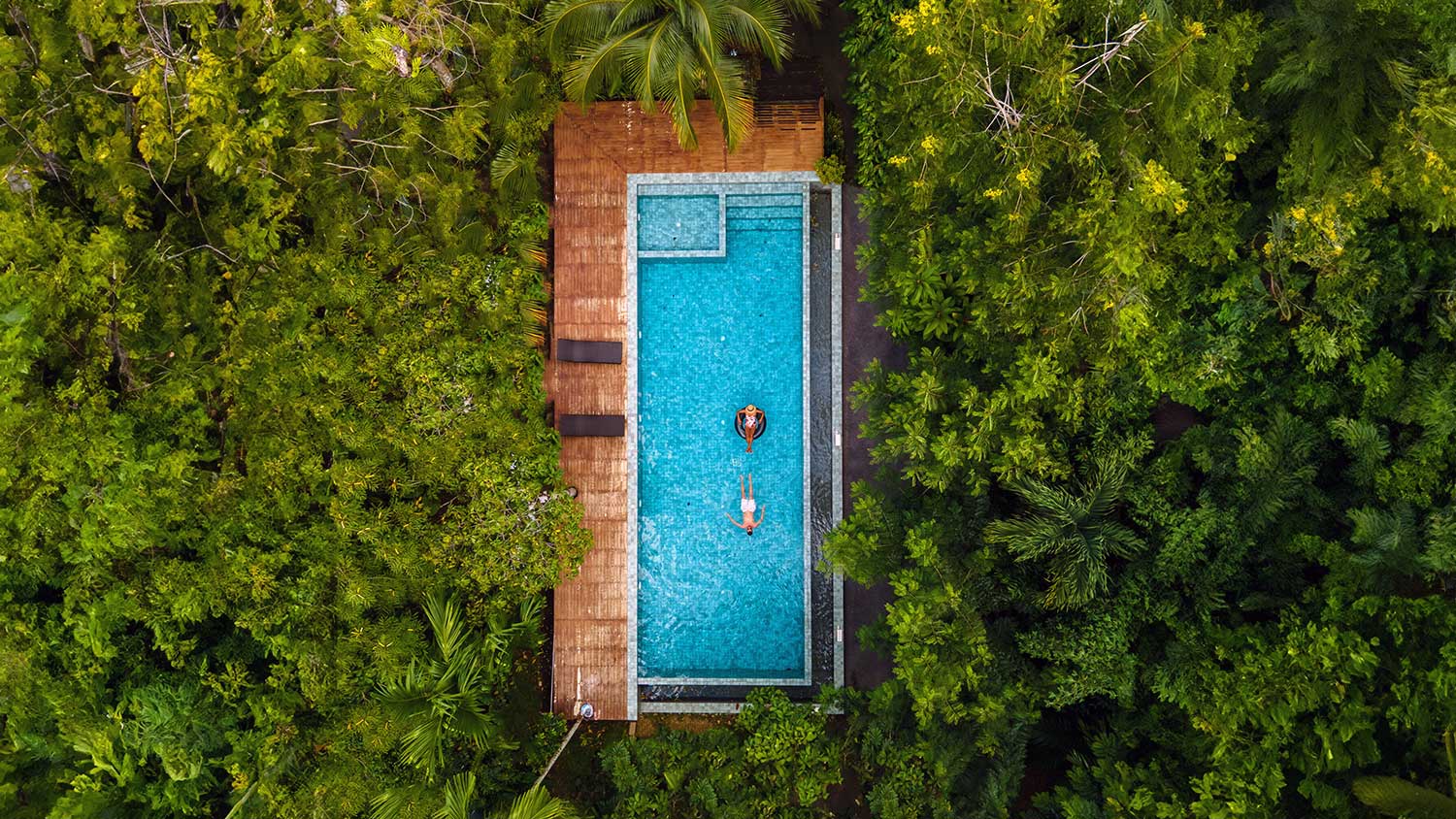Sustainable Pool Villas 2025 Eco-Luxury Trends in Indian Wildlife Resorts