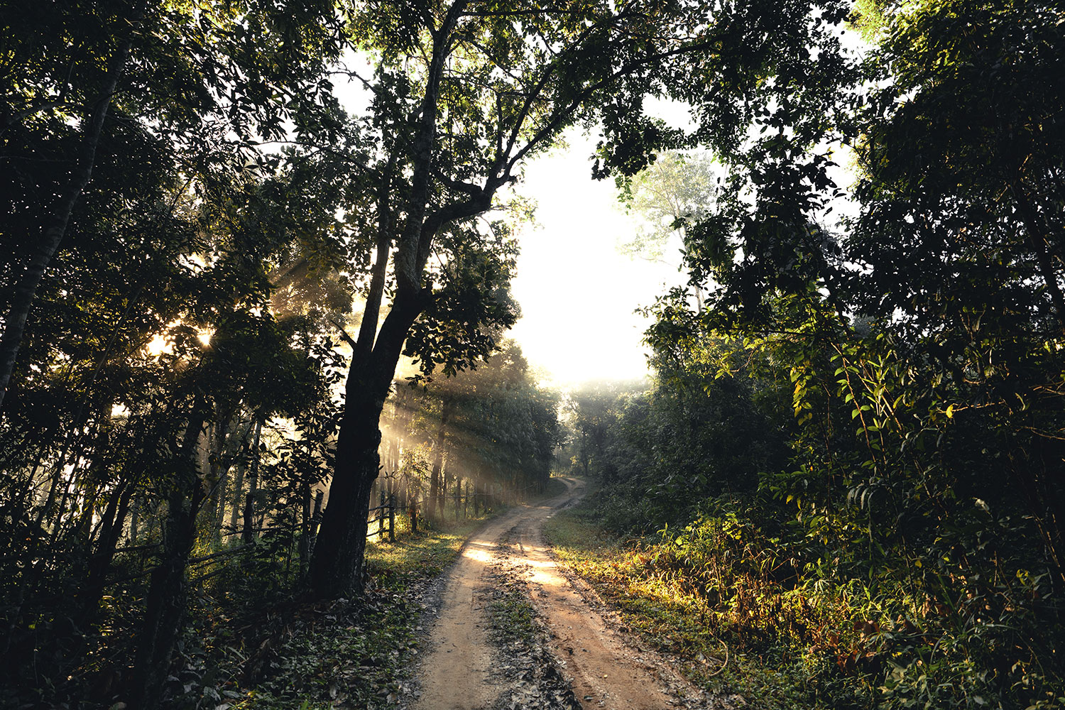 Pench National Park -The Legendary Inspiration
