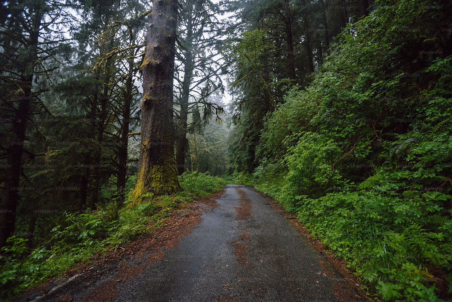 How to Reach Tipeshwar Wildlife Sanctuary from Delh