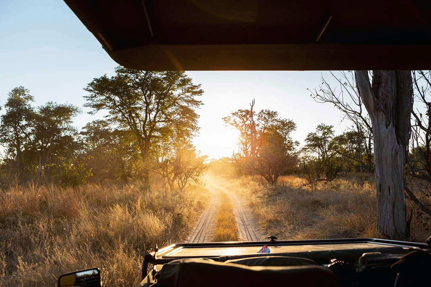 How to Reach Tipeshwar Wildlife Sanctuary from Hyderabad