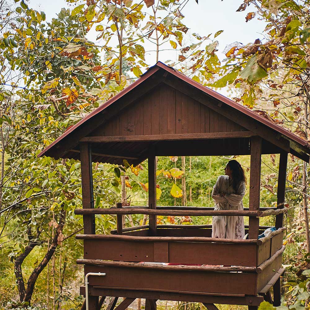 Open meadow near Tipai eco resort – wildlife habitat near Tipeshwar sanctuary