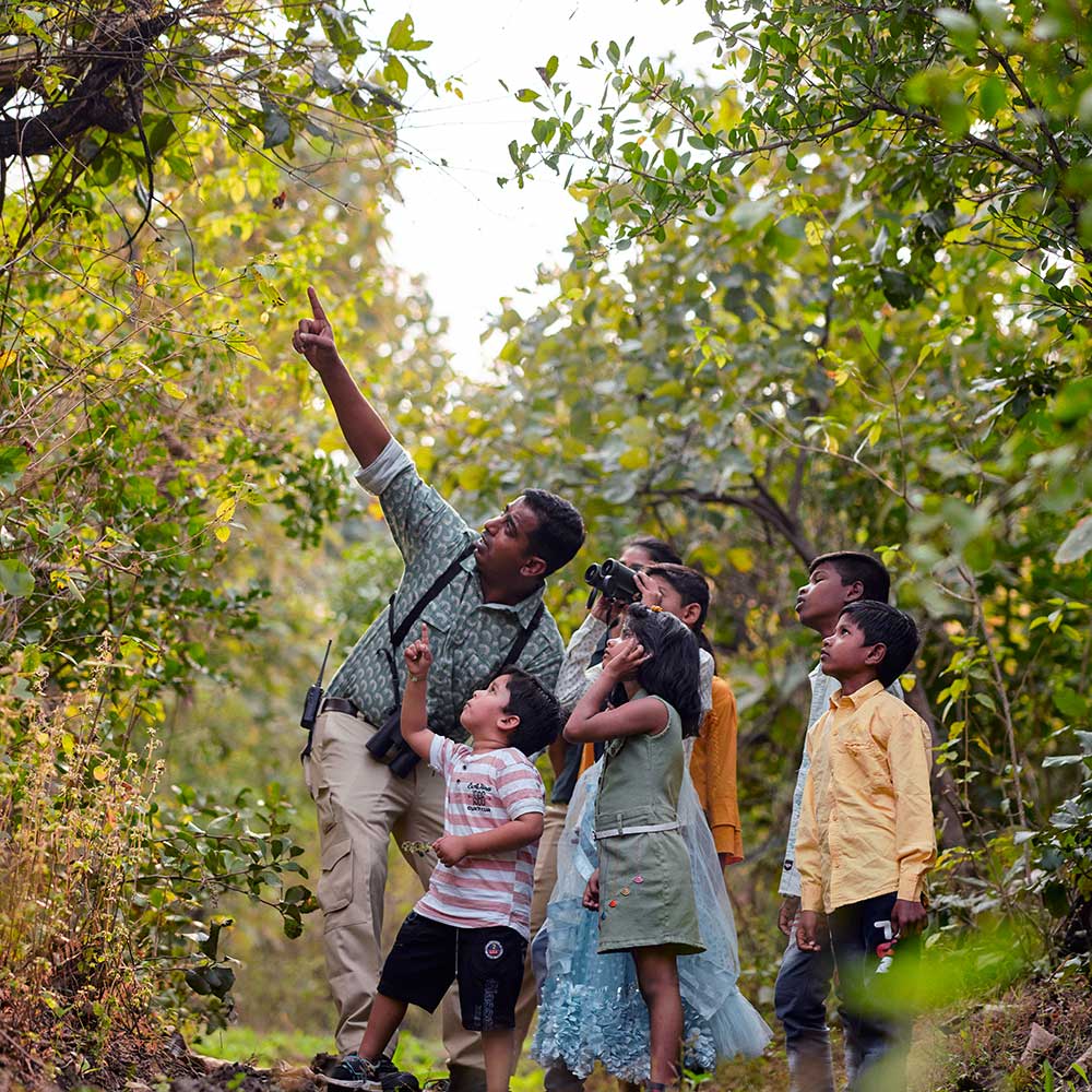 Spotted Owlet at Tipeshwar – 180 bird species birdwatching India