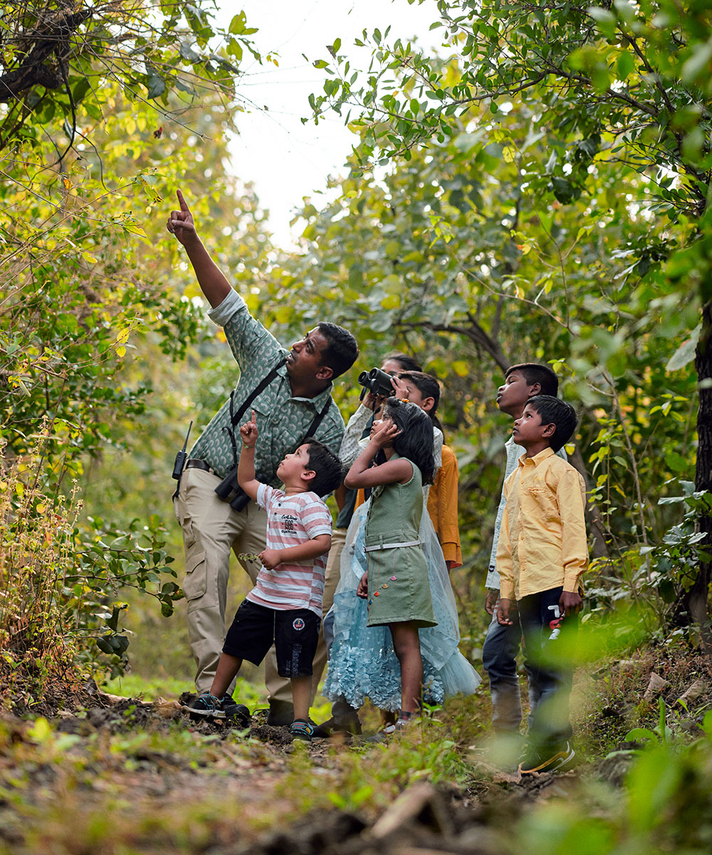 Family safari experience – best family resort near Tipeshwar India
