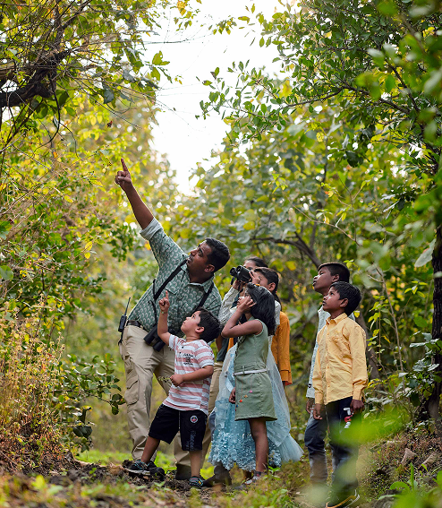 Family safari with expert naturalist – family jungle resort near Tipeshwar Maharashtra