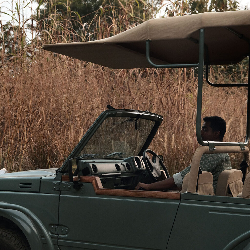 Open meadow wildlife habitat near Tipai – jungle resort Yavatmal India