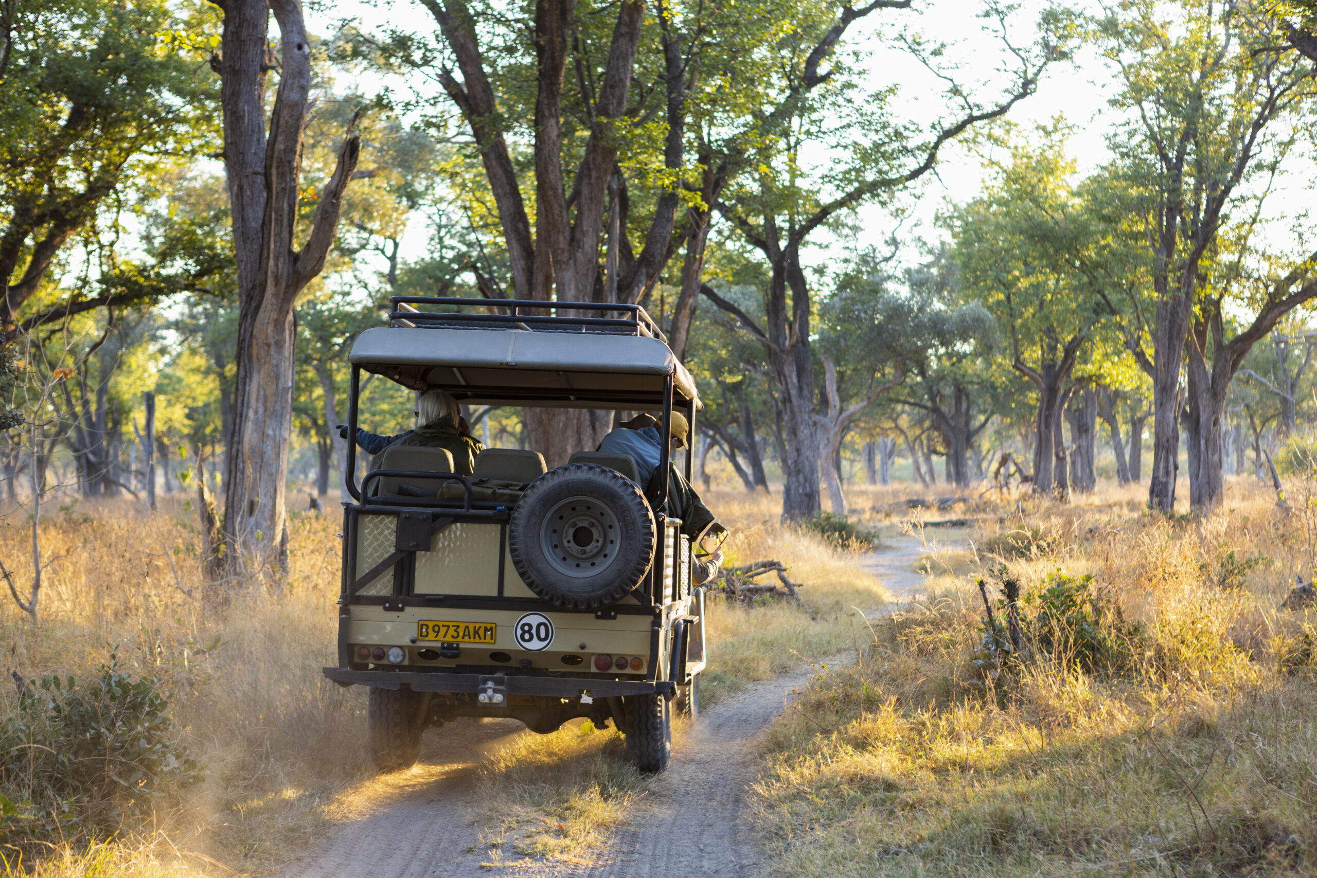 Wildlife in India: Safari Parks, Iconic Species & Emerging Destinations Like Tipeshwar