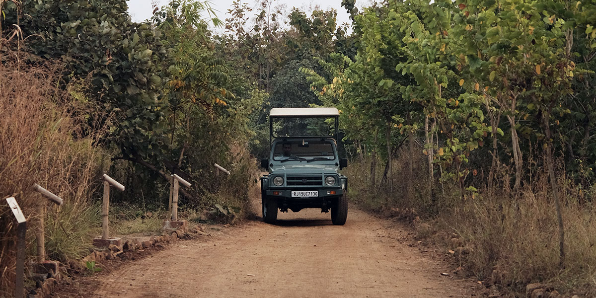 jeep safari at wildlife sanctuary