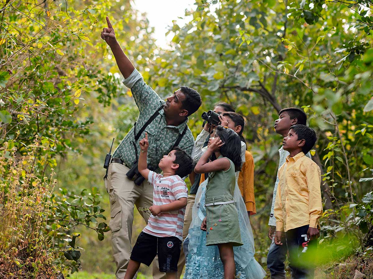Family safari with expert naturalist – family jungle resort near Tipeshwar Maharashtra