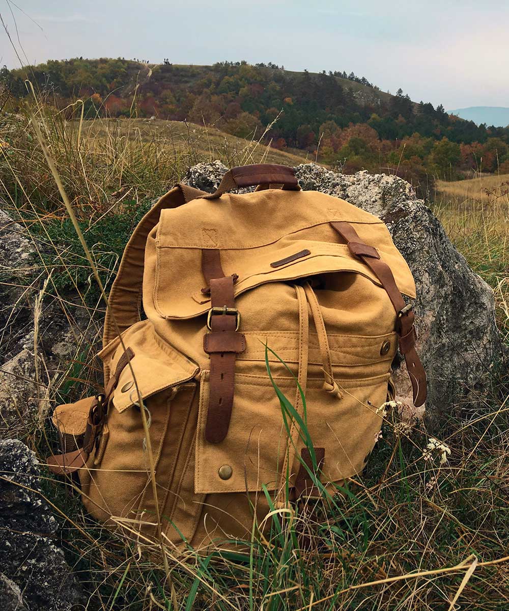 indian wildlife tourism