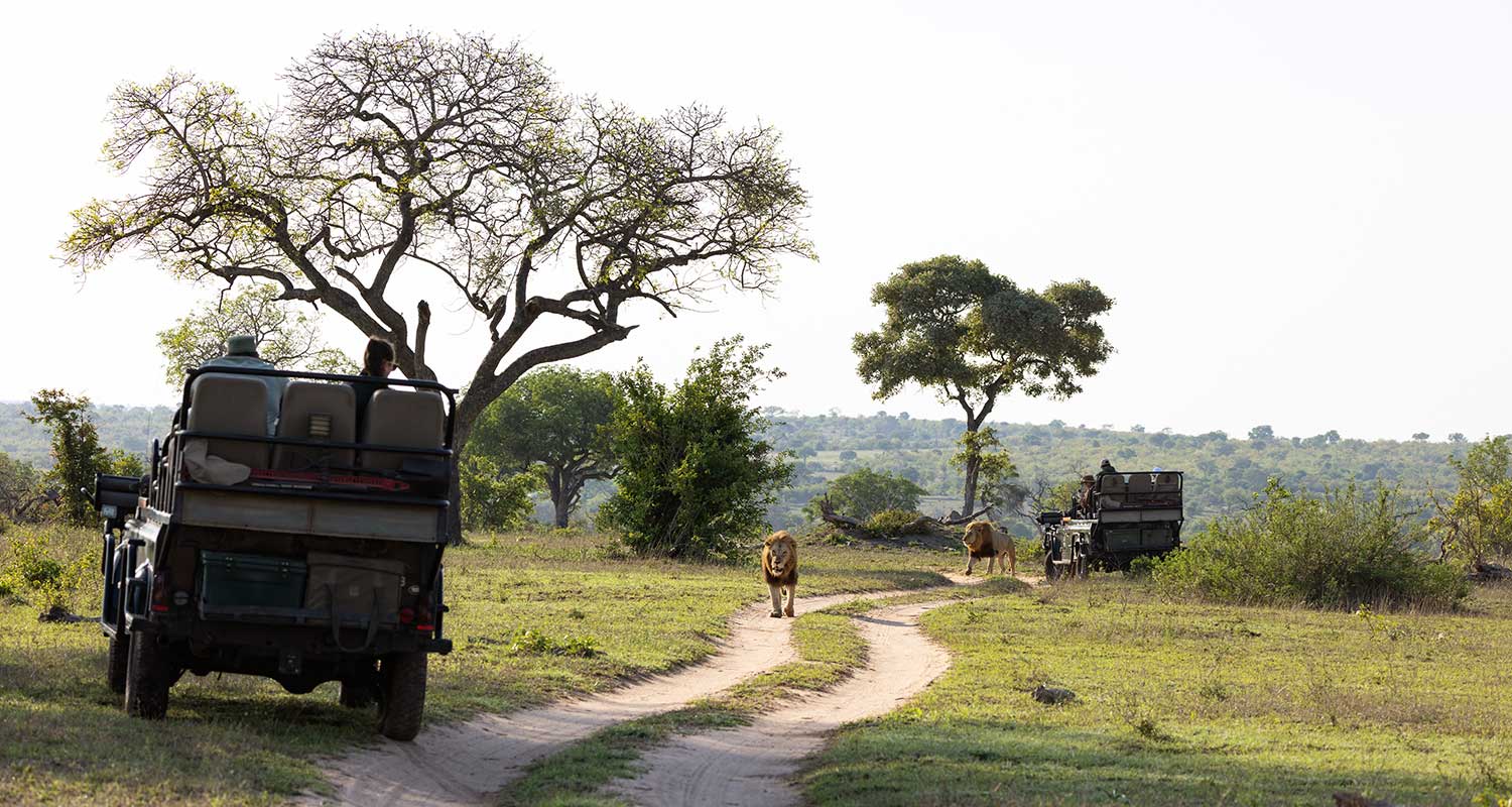 The Overcrowding Challenge