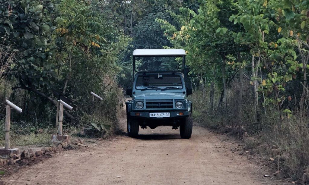Into the Wild Your Private Safari at Tipeshwar