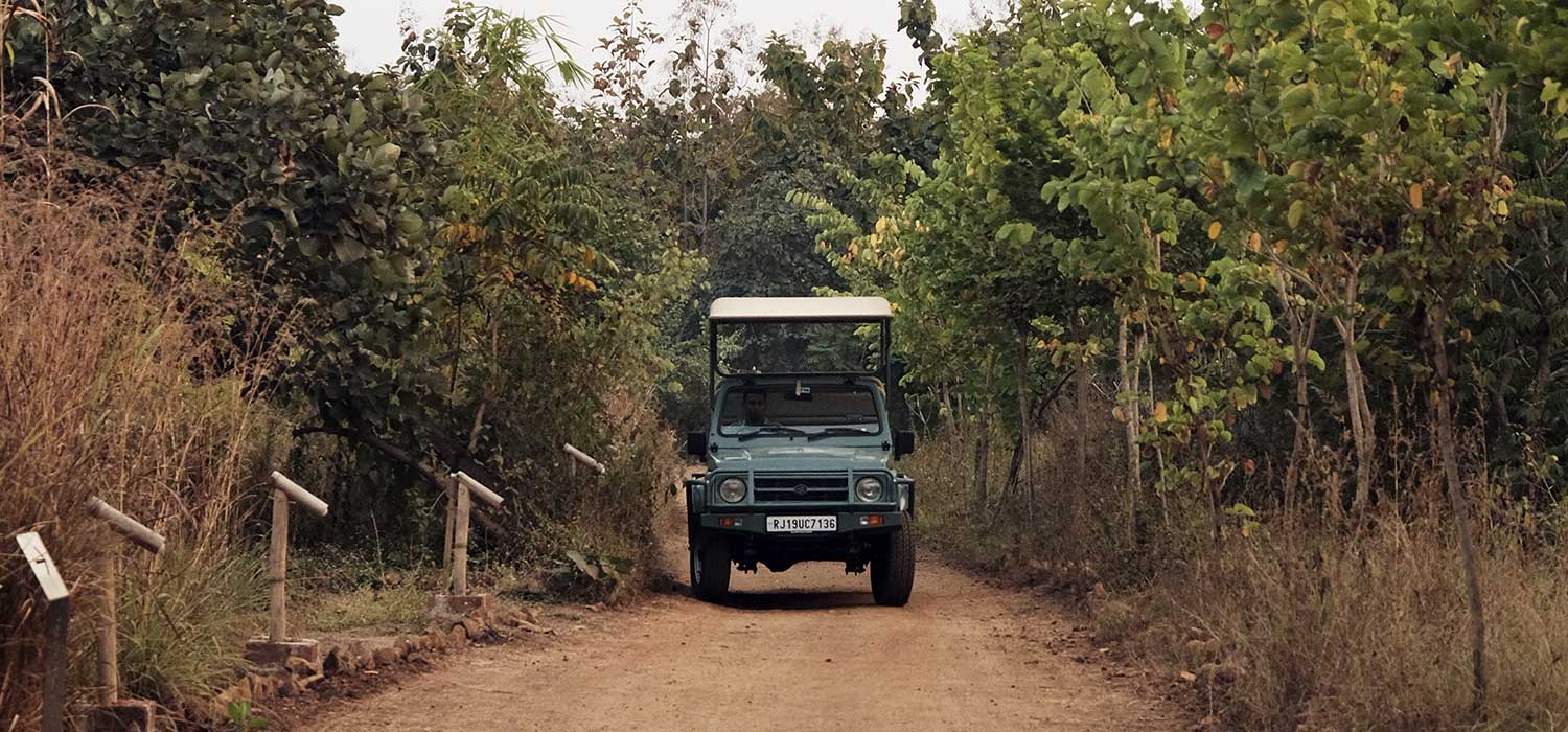 Into the Wild Your Private Safari at Tipeshwar