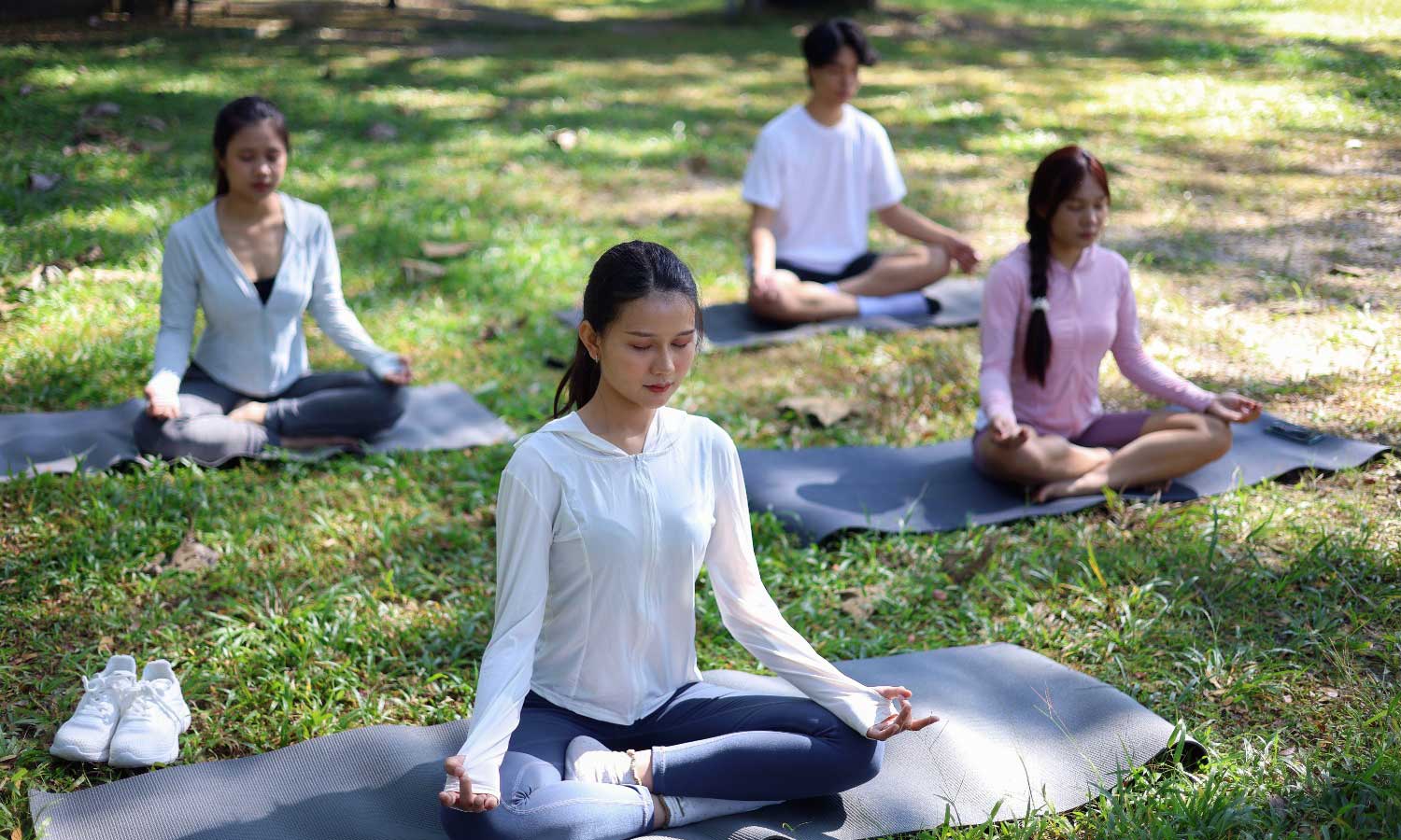 Wellness Meets Wildlife Yoga and Ayurveda Retreat at Tiger Safaris in 2026