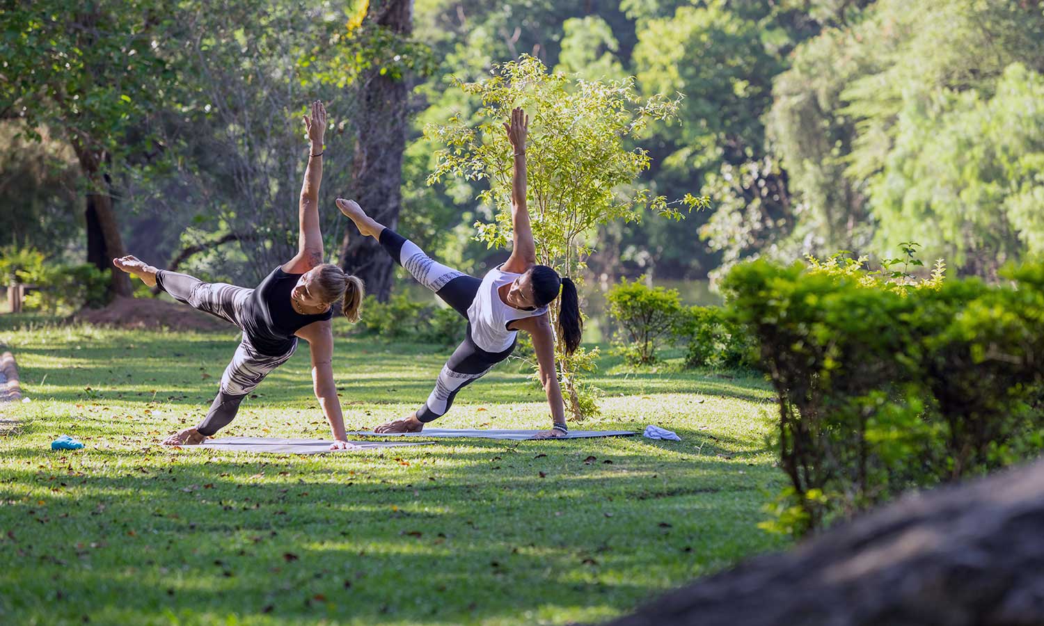 Yoga Styles and Safari Rhythm