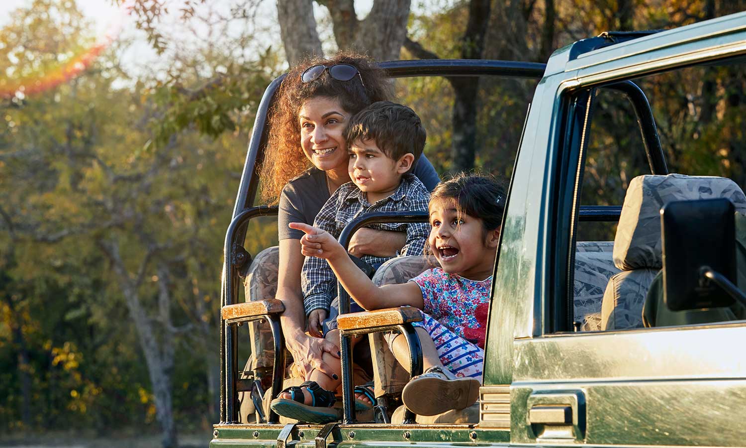 Family and Group Dynamics