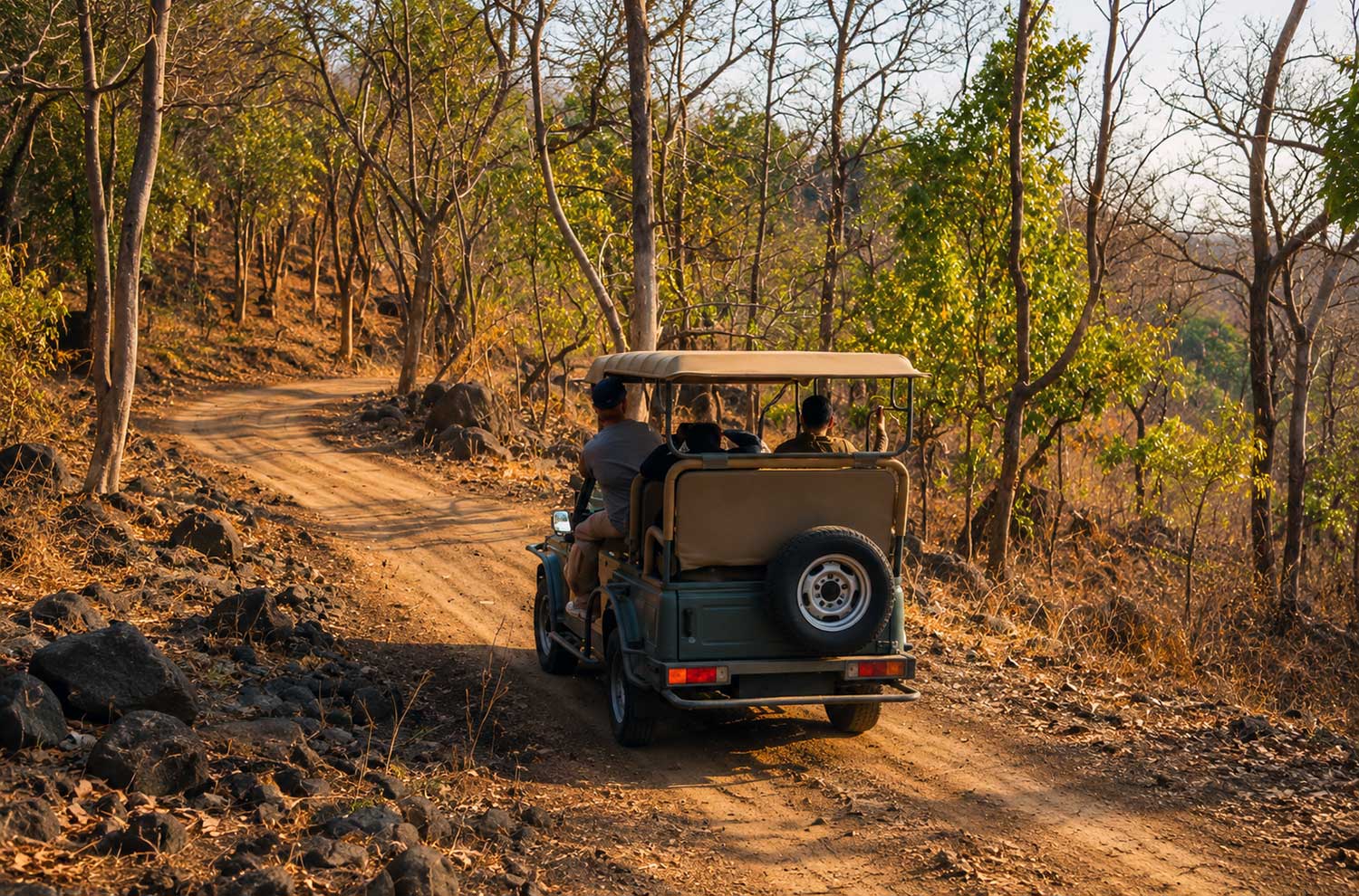 Into the Forest on a Private Jeep