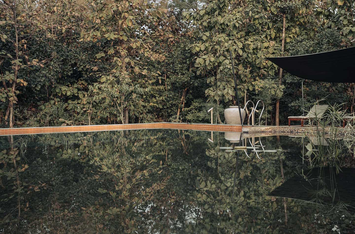 Natural bio-pool surrounded by forest at Tipai luxury eco resort