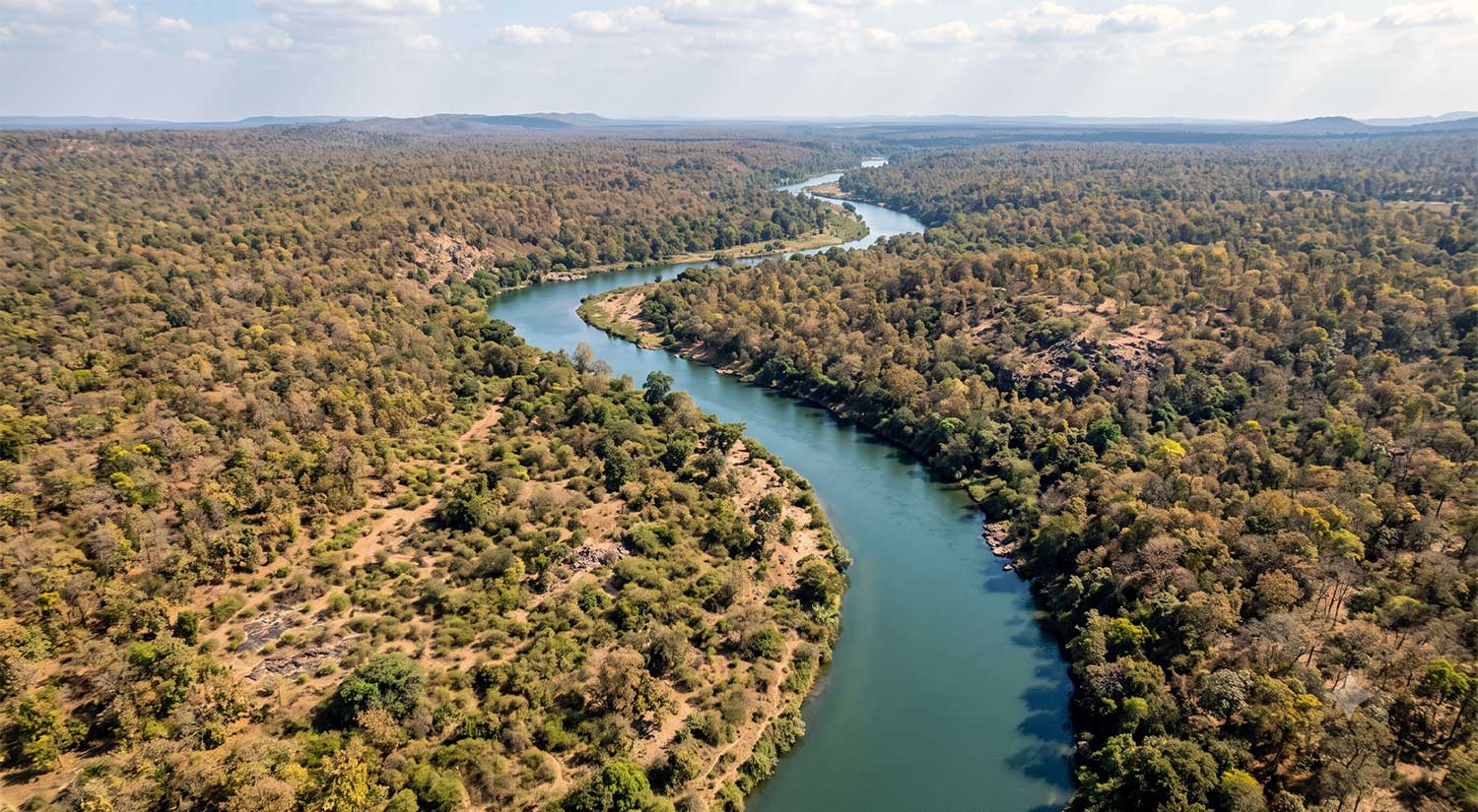 PThe Penganga river cutting through the forest corridor near Tipeshwar Wildlife Sanctuary