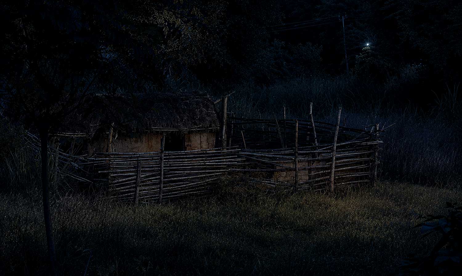 A predator-proof night enclosure for livestock at a farm bordering Tipeshwar_s buffer zone