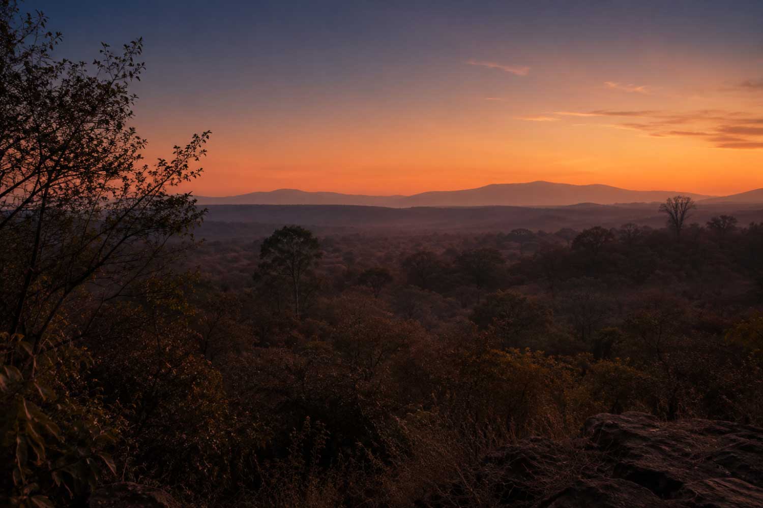 Tipeshwar forest at dusk, the setting where jackal folklore and jackal behaviour still overlap