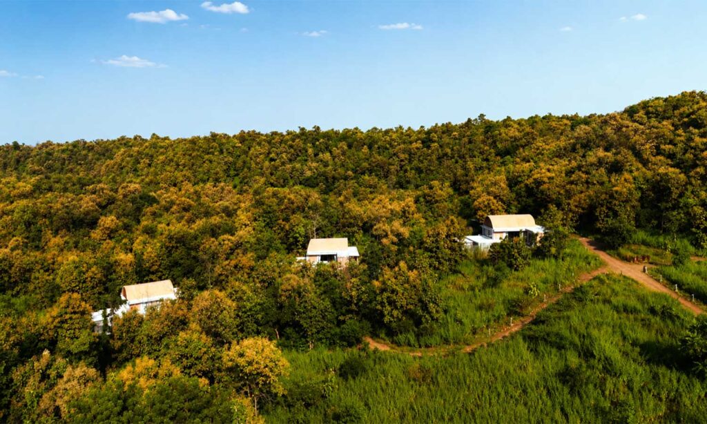 Two interconnecting Forest Villas at Tipai with a private connecting path between them