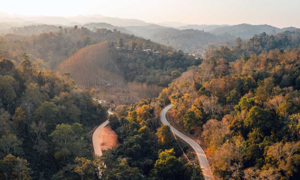 Central Indian forest landscape shared by Tipeshwar, Kanha and Bandhavgarh