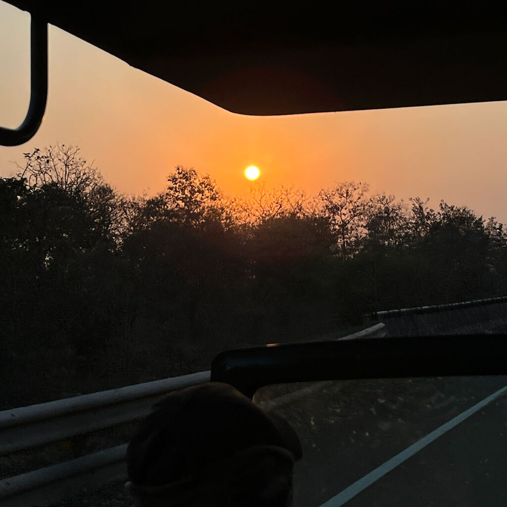 luxury jeep safaris in India