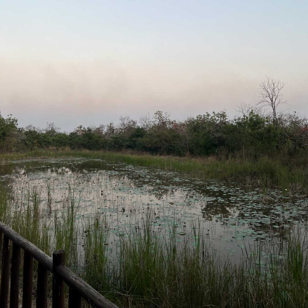 jungle resorts in maharashtra