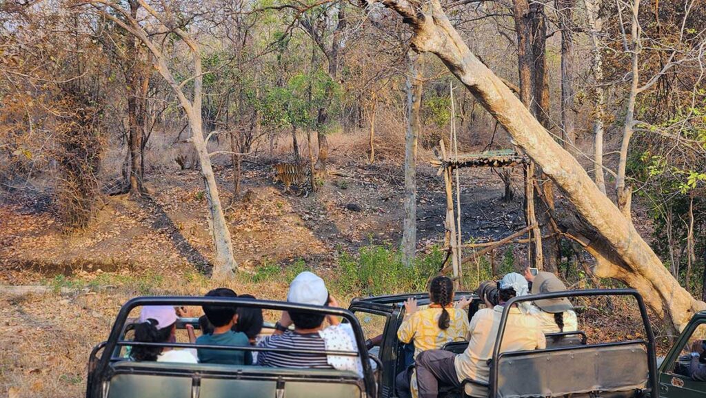 Naturalist guide on safari jeep Tipai Wildlife Luxuries Tipeshwar Maharashtra